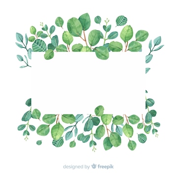 Free Vector | Hand drawn eucalyptus branches background with blank space