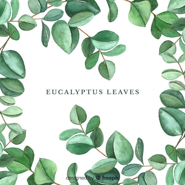 Download Hand drawn eucalyptus leaves background | Free Vector