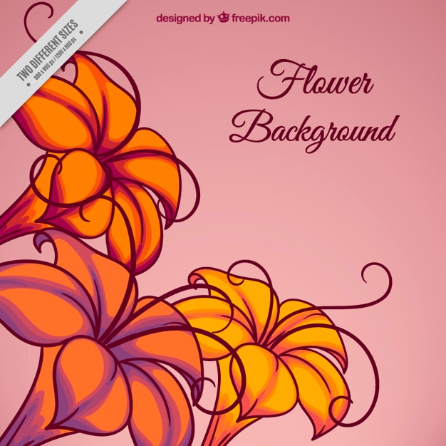 Hand drawn exotic flowers background