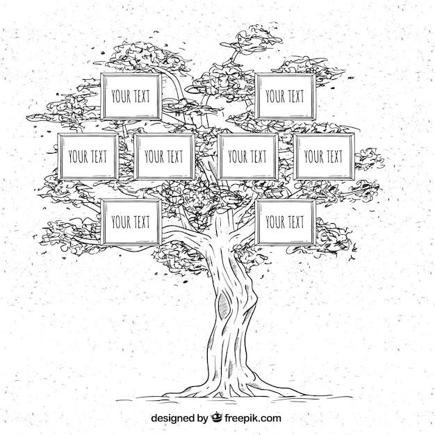 Hand-drawn family tree in vintage style