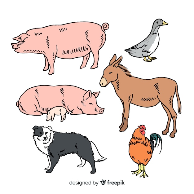 Free Vector | Hand drawn farm animal collection