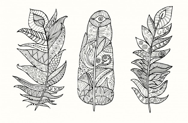 Download Hand drawn feather set with doodle, zentangle, floral ...