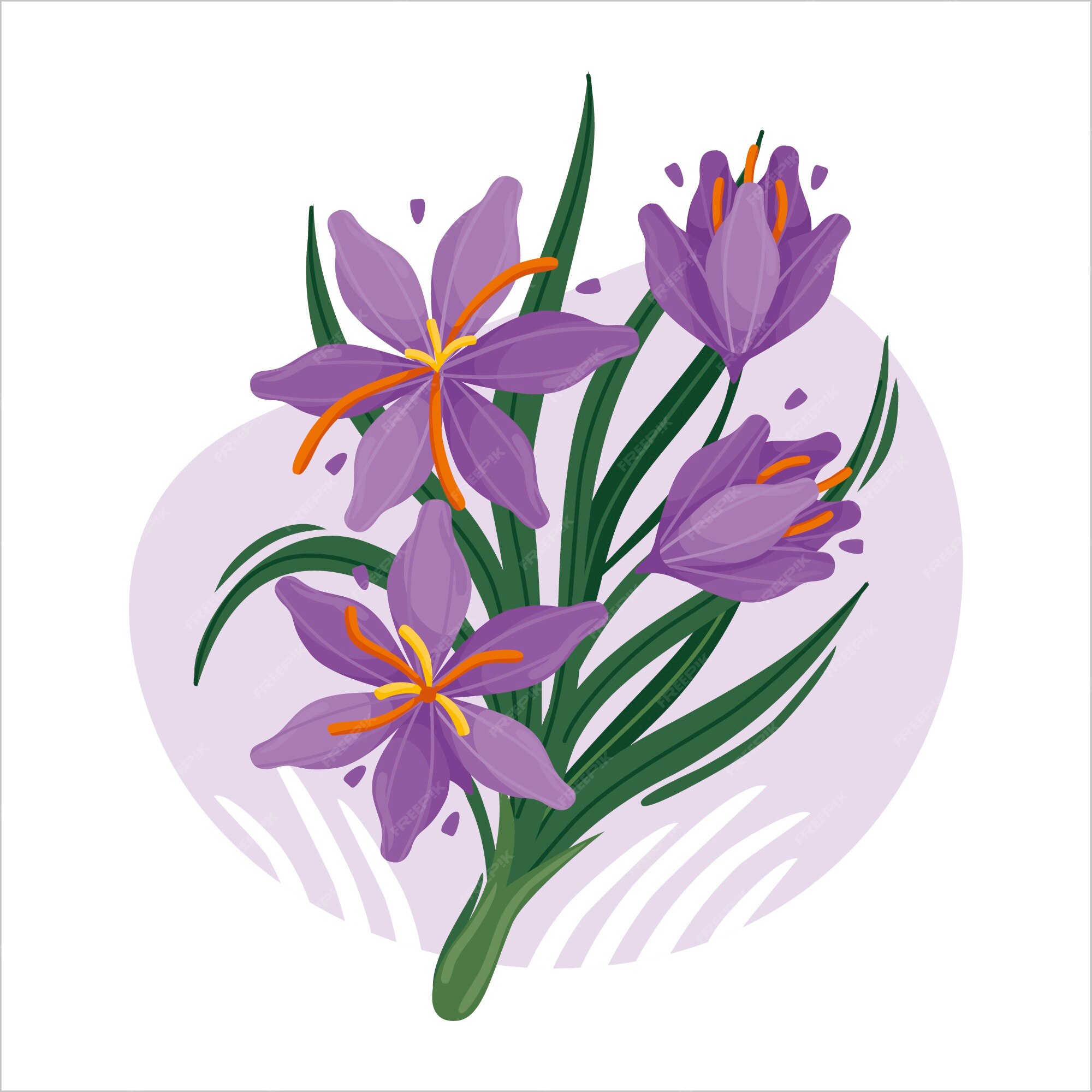 Free Vector | Hand drawn flat design saffron illustration