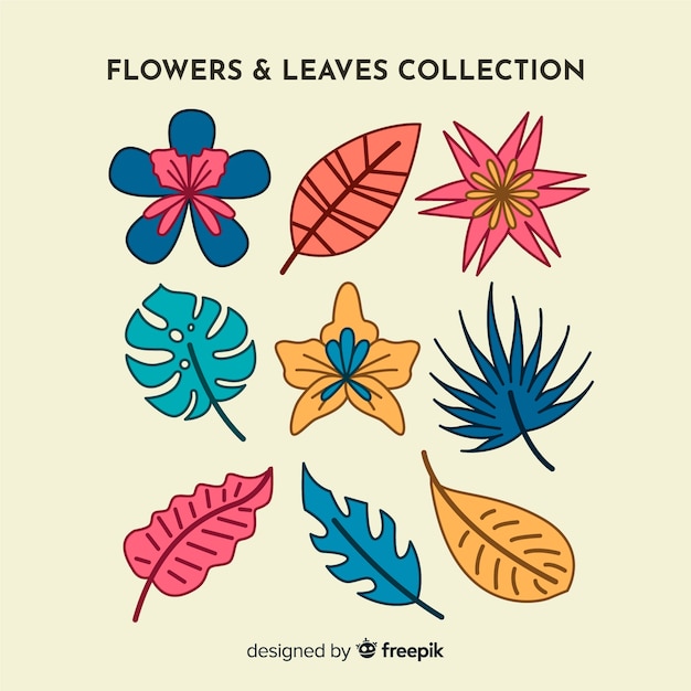 Free Vector | Hand drawn floral collection