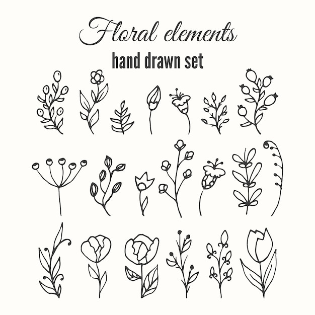 Download Hand drawn floral elements collection Vector | Free Download