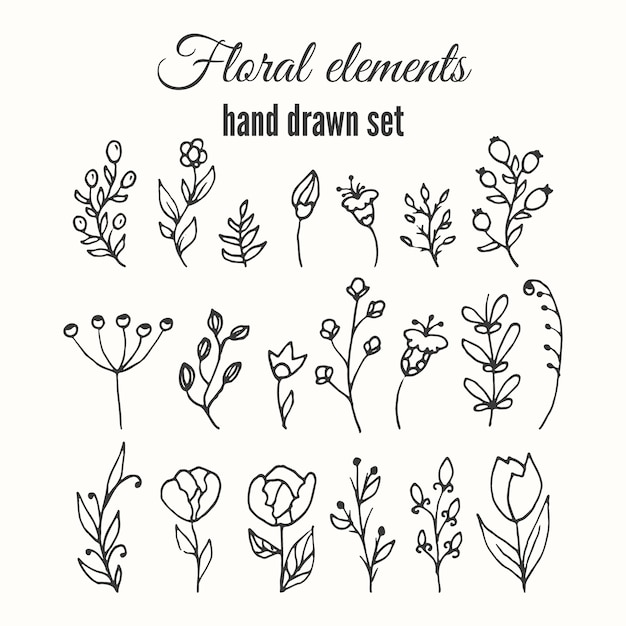 Free Free Floral Elements Svg 775 SVG PNG EPS DXF File