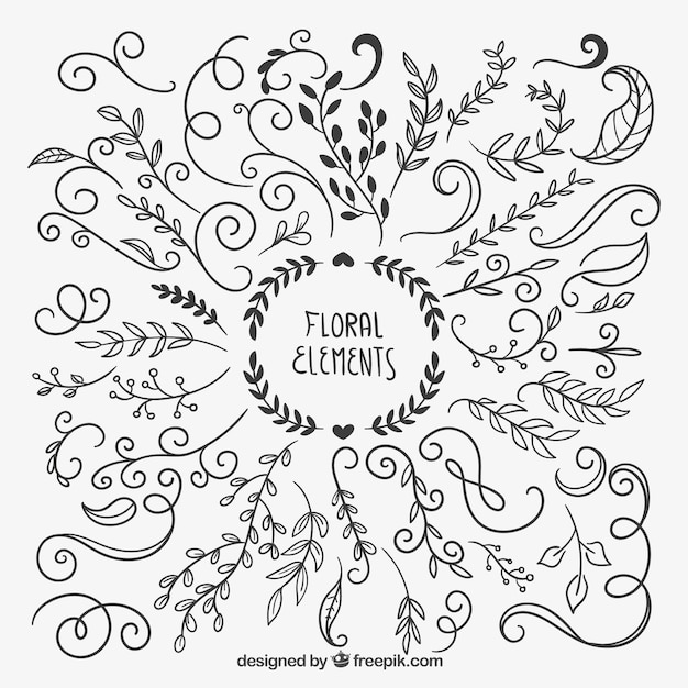 Download Free Vector | Hand drawn floral elements