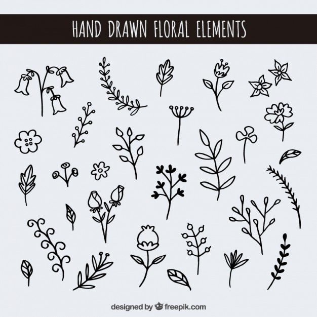 Download Free Vector | Hand drawn floral elements