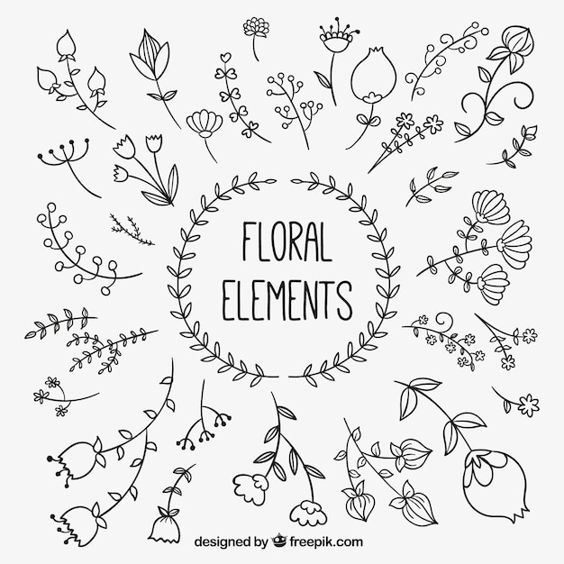 Download Hand drawn floral elements Vector | Free Download