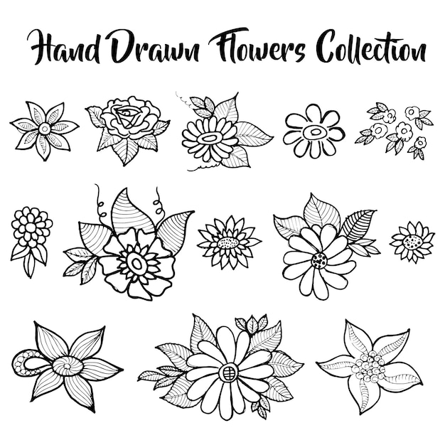 Download Hand drawn flower collection | Free Vector