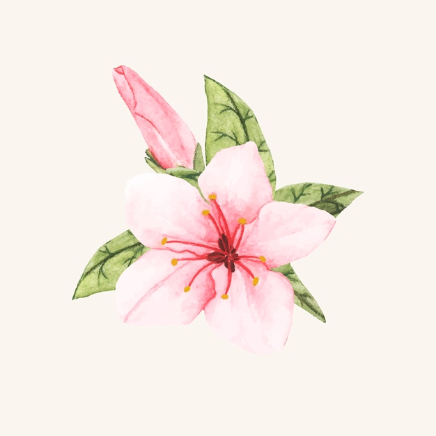 Hand drawn flower isolated