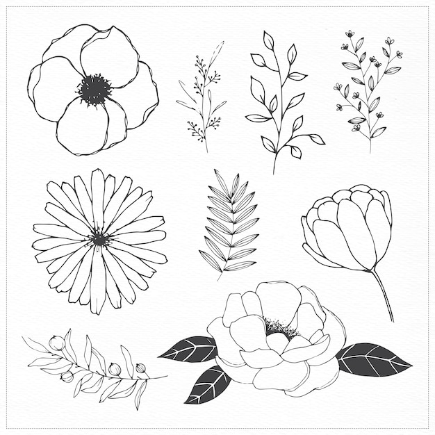 Hand drawn flowers and leaves Vector | Free Download