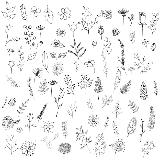 Download Free Vector | Hand drawn flowers collection