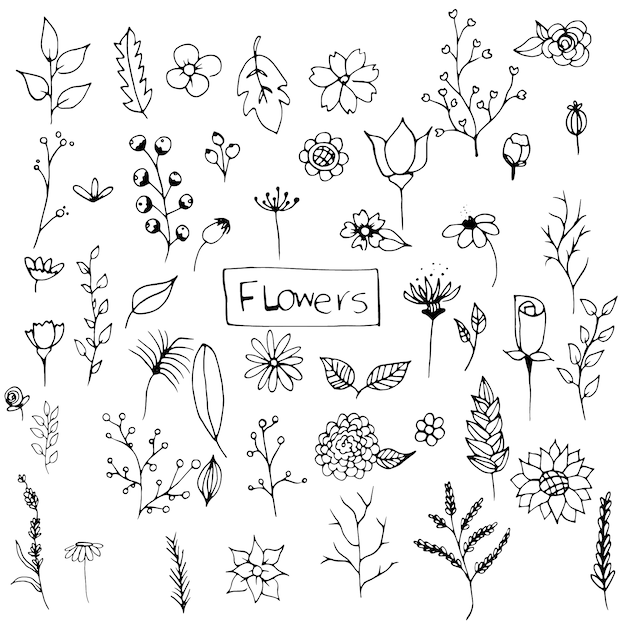 Hand drawn flowers collection Vector | Free Download