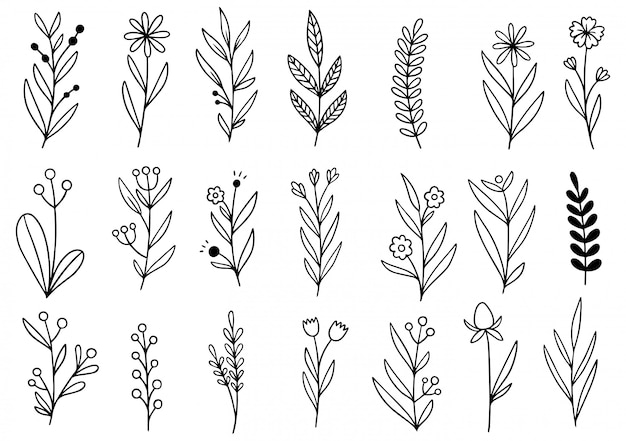 Premium Vector | Hand drawn flowers doodle