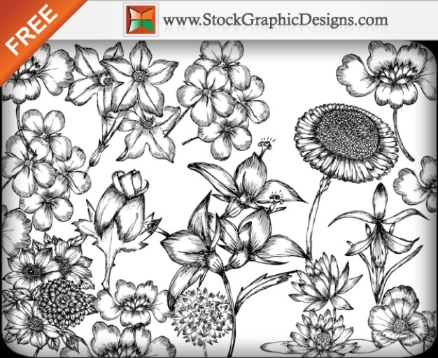 Download Hand drawn flowers free vector pack Vector | Free Download