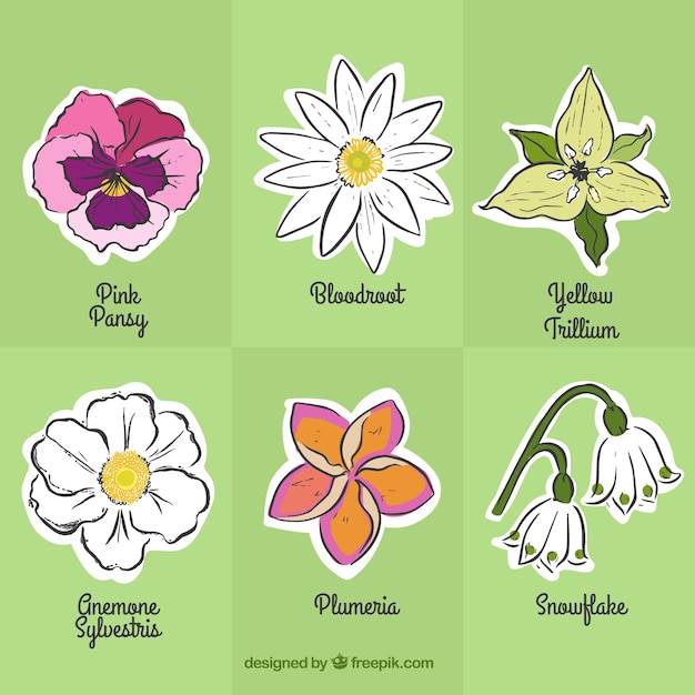 Free Free 231 Hand Drawn Flower Svg Free SVG PNG EPS DXF File