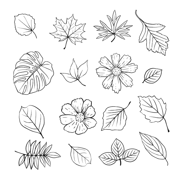 Download Free Vector | Hand drawn flowers and leaves collection