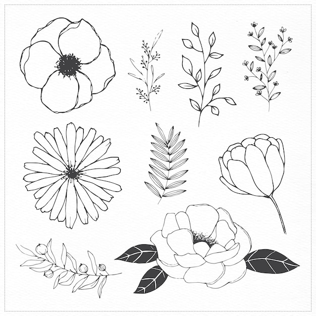 Free Vector | Hand drawn flowers and leaves