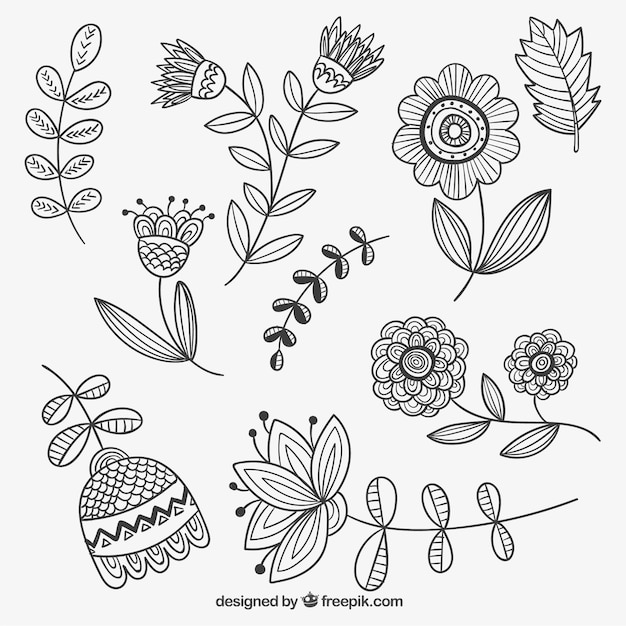 Download Hand drawn flowers Vector | Free Download