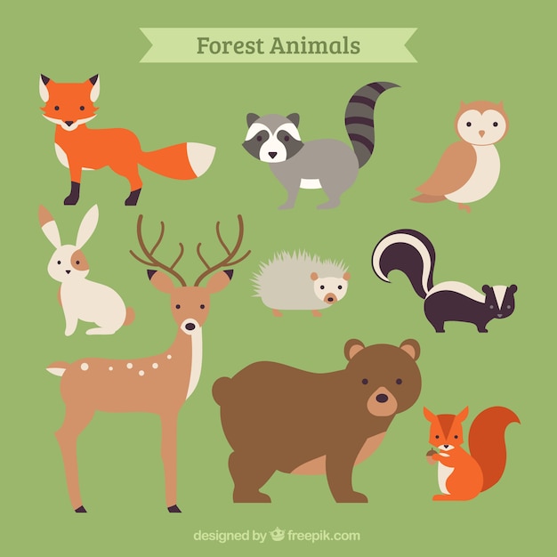 Download Hand drawn forest animal collection | Free Vector