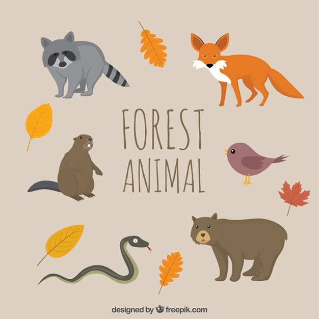 hand drawn forest animals with autumn leaves_23 2147542141