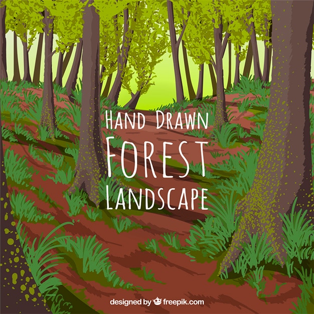 Hand drawn forest background Vector | Free Download