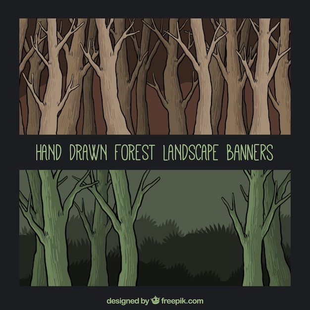Hand drawn forest landscape banners