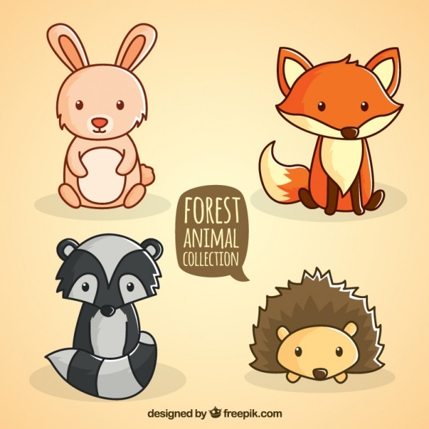 Hand drawn forest sitting animal
collection