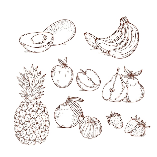 Free Vector Hand Drawn Fruit Collection