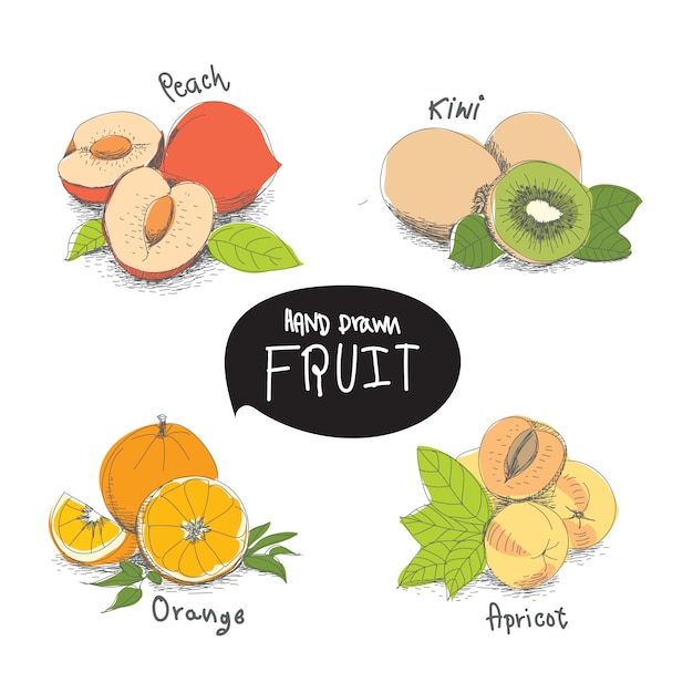 Download Hand drawn fruit design elements | Premium Vector