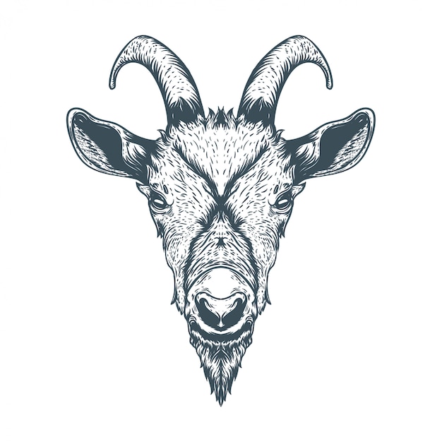 Premium Vector Hand drawn goat face illustration