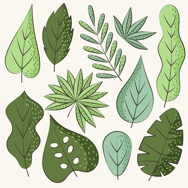 Free Vector Hand Drawn Green Leaves