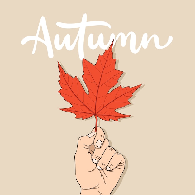 秋のカエデの葉のイラストを持っている手描きの手 プレミアムベクター