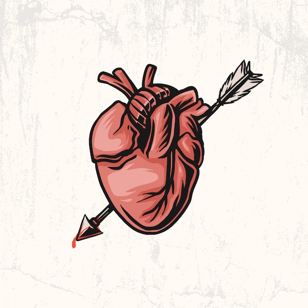 arrow with heart sketch handdrawn