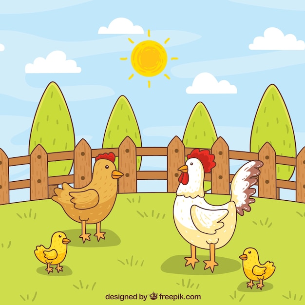 Free Vector | Hand-drawn hens