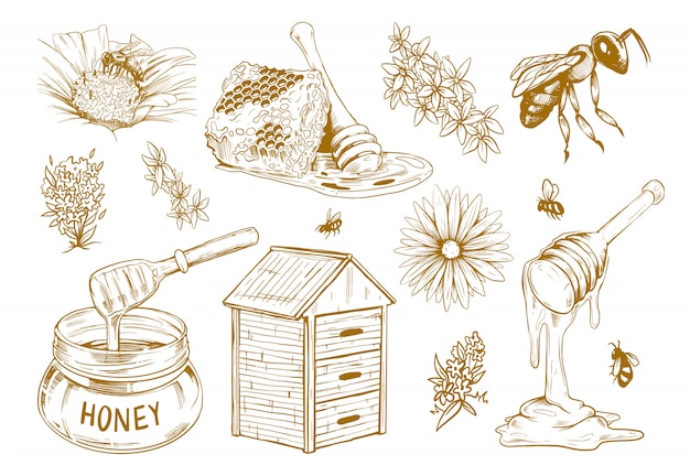 Hand Drawn Honey Flat Sketch Set Free Vector