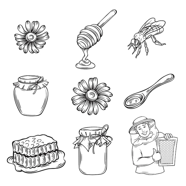 Premium Vector | Hand drawn honey icons set.