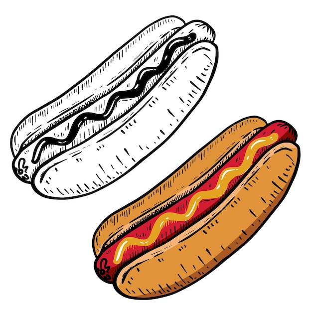 Premium Vector | Hand drawn hot dog illustration.