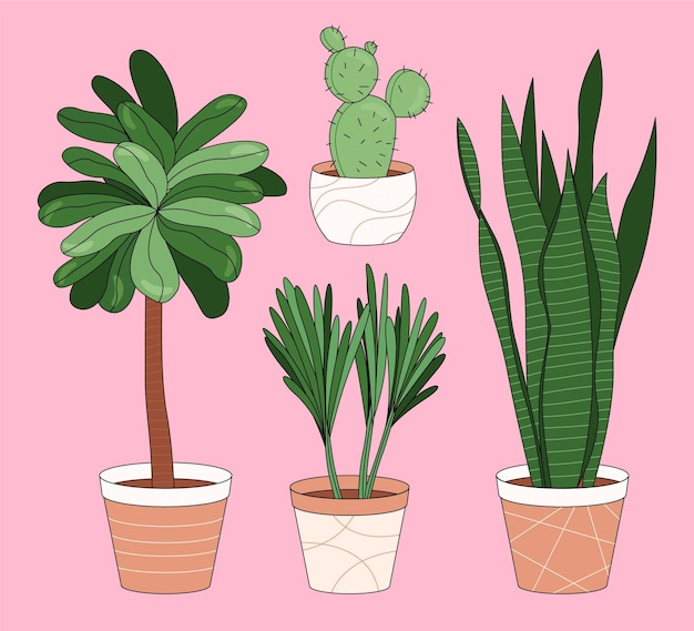 Premium Vector Hand Drawn Houseplant Collection Illustrated