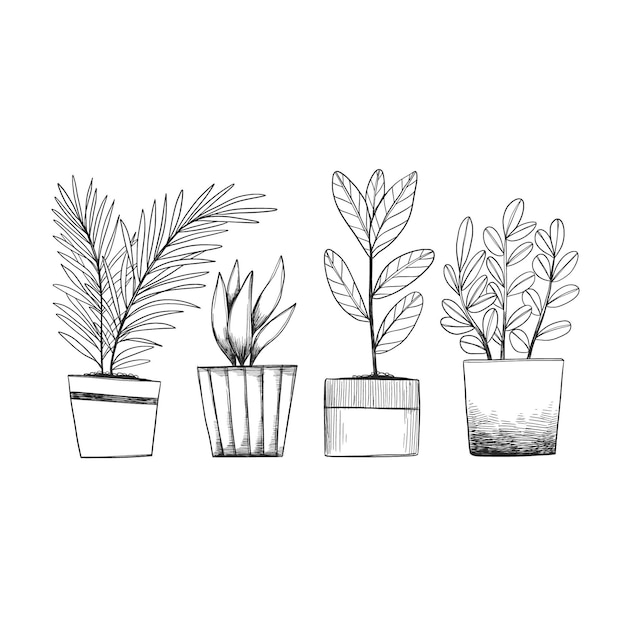 Free Vector Hand drawn houseplant collection