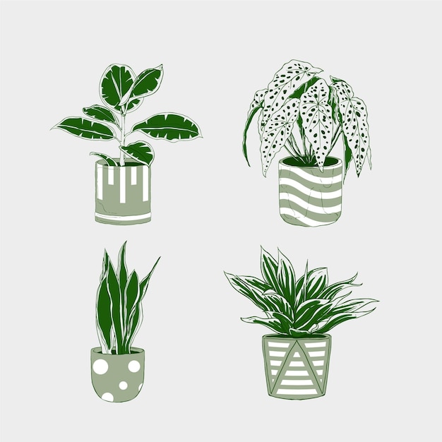 Free Vector | Hand drawn houseplant collection