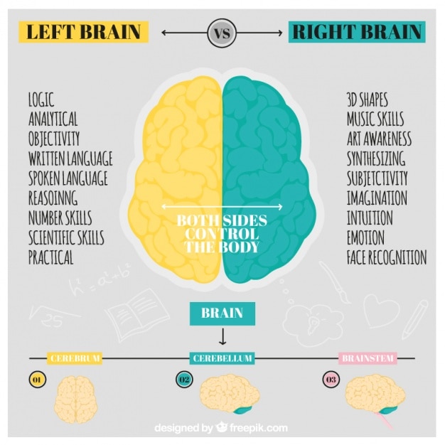 Hand-drawn human brain infographic