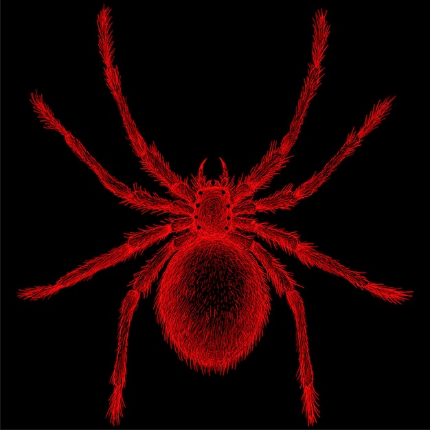 赤いクモのチョークスタイルで手描きイラスト プレミアムベクター