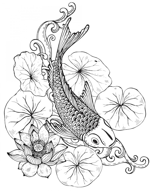蓮の花と鯉の手描きイラスト プレミアムベクター