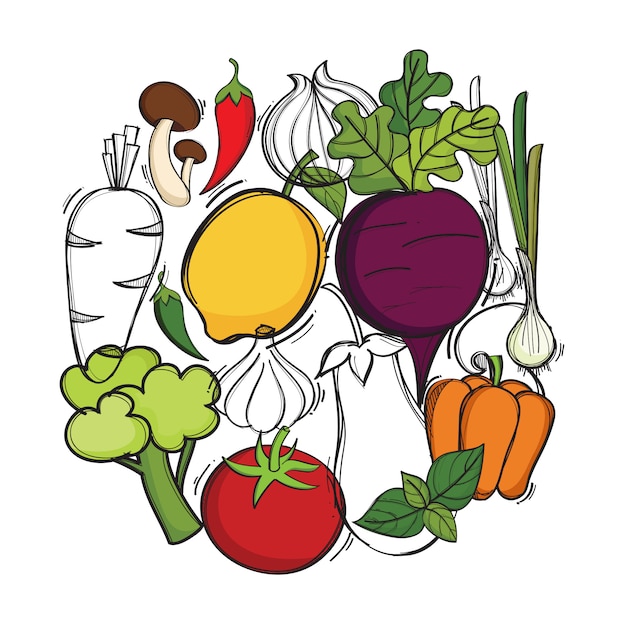 ベクトル有機野菜と手描きのイラスト プレミアムベクター