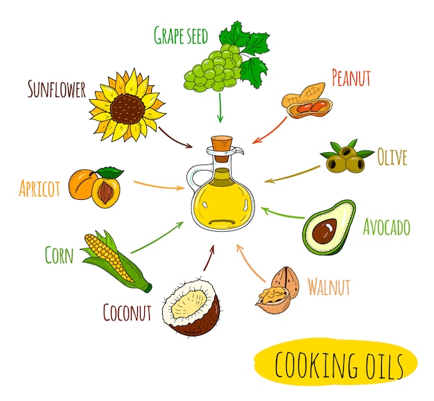 Premium Vector | Hand Drawn Infographic Of Cooking Oil Sorts