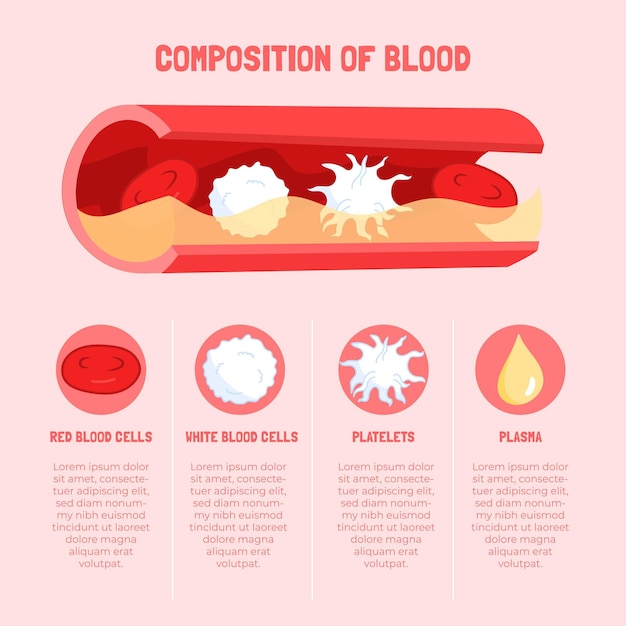 Premium Vector Hand drawn information of blood infographic