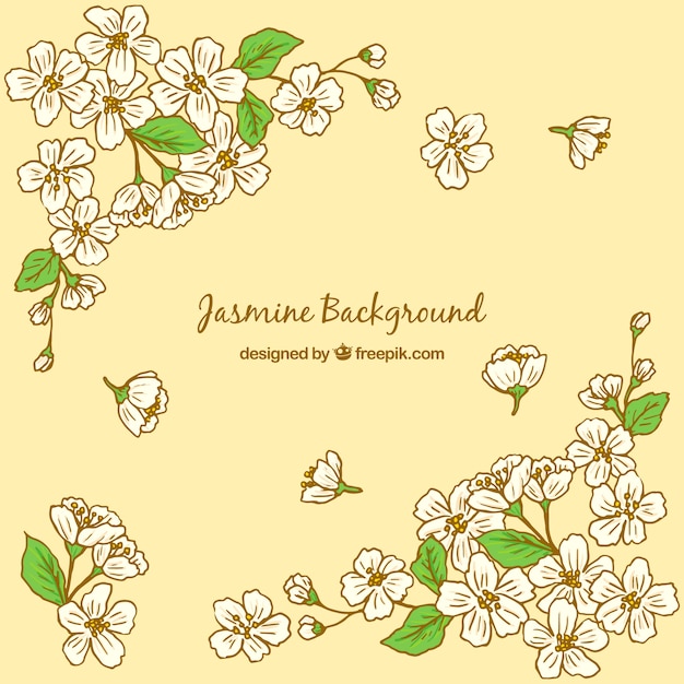 Hand drawn jasmine yellow background