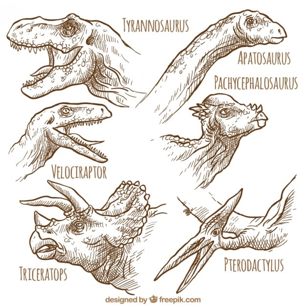 Hand drawn kind of dinosaurs